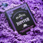 When the Bluff Is Against the Planet: Poker and the Invisible Weight of the Chips