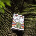 Interplanetary Poker: When Astronauts Play Cards in Space